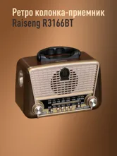 Портативный Радиоприемник Raiseng R3166BT (бронза)
