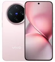 Vivo X200 Pro mini
