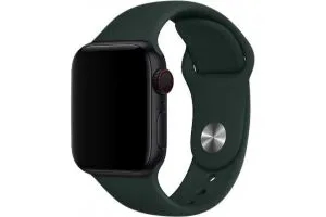 Ремешок силиконовый Apple Watch 38mm, 40mm, 41mm, ML (сине - зеленый)