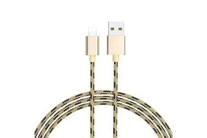 Кабель USB - Lightning BOROFONE BX24 Ring current 2.4A, 1м (золото)